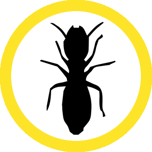 WDI Inspections